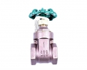 GATE VALVE, 1"