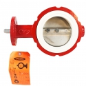 BUTTERFLY VALVE 4", CI BODY, STAINLESS STEEL DISC, SS STEM WHITE SEAT