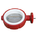 BUTTERFLY VALVE 6" CI BODY, STAINLESS STEEL DISC, STAINLESS STEEL STEM, WHITE SEAT