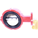 BUTTERFLY VALVE 4", 400 SERIES, 6 BOLT, CI STAINLESS STEEL DISK, BLACK NITRILE