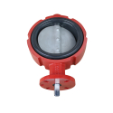 BUTTERFLY VALVE 5", 400 SERIES CAST IRON, STAINLESS STEEL DISC, BLACK NITRILE
