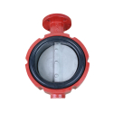 BUTTERFLY VALVE 5", 400 SERIES CAST IRON, STAINLESS STEEL DISC, BLACK NITRILE